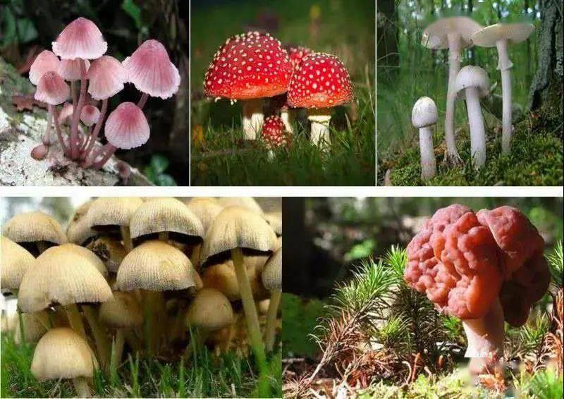 图片4.png 图片4.png