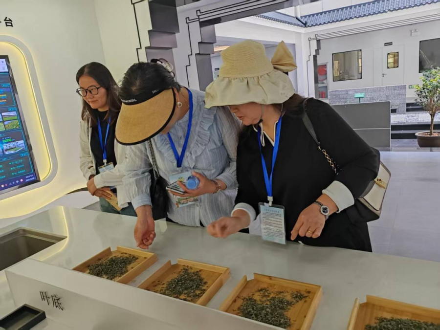 英山云雾茶消费体察活动图片1.png