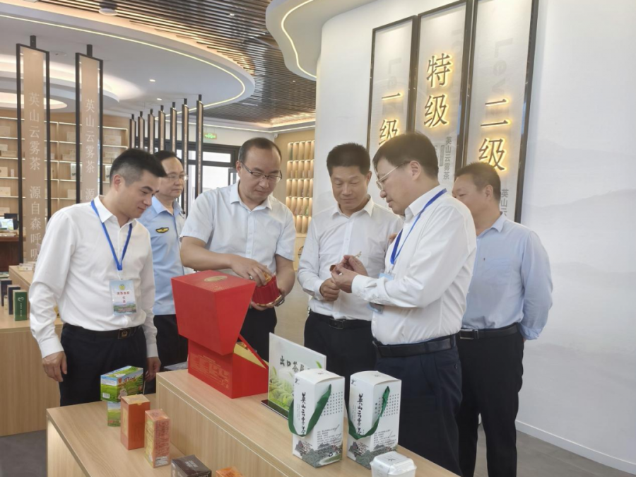 英山云雾茶消费体察活动图片6.png