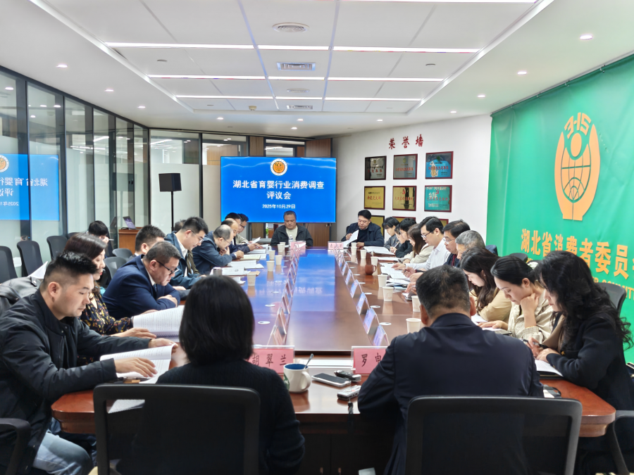 湖北省育婴行业消费调查评议会在汉召开图片.png
