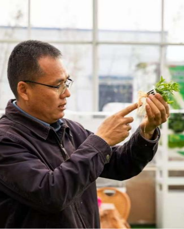 王建兵工作照1.png 王建兵工作照1.png